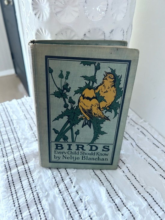 Vintage Other - Antique 1907 “Birds Every Child Should Know” Neltje Blanchan Hardcover Book